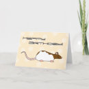 Search for fancy rat cards Animals