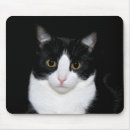 Search for contrast mouse mats White