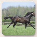 Search for thoroughbred horse coasters Running