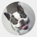 Search for getty stickers Funny