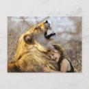 Search for everyone postcards Girl