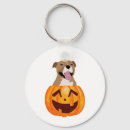 Search for pitbull key rings Funny