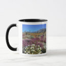 Search for california state parks mugs Flora