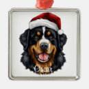 Search for bernese mountain dog christmas decor Santa