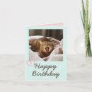 Search for yawning cards Funny cat