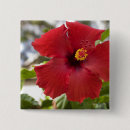 Search for oahu badges Hibiscus