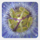 Search for passion flower stickers Nature