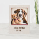 Search for care bear cards Friendship