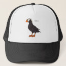 Search for puffin hats Seabird