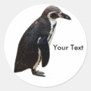 Search for black white penguin stickers Bird