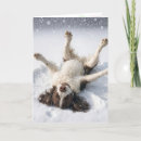 Search for springer spaniel christmas cards Fun
