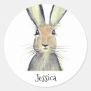 Search for hare stickers Animal