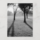 Search for artistic style postcards Black and white