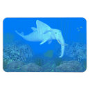 Search for orca whale magnets Orcas