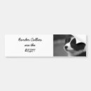 Search for border collie bumper stickers Cute