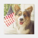 Search for corgis magnets Canine