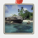 Search for in the wilderness christmas tree decorations Nobody