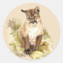 Search for cougar mountain lion stickers Nature