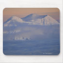 Search for washington state mouse mats Nature