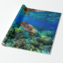 Search for reef photography Sea turtle