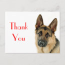 Search for german shepherd thank you cards Pup