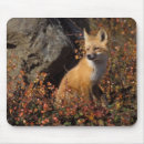 Search for area standard mouse mats Carnivore