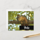 Search for backyard horizontal postcards Cute