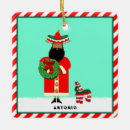 Search for mexican christmas decor Cartoon