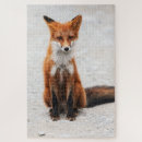 Search for red fox puzzles Wild