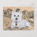 Search for westies postcards West highland white terrier