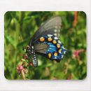 Search for swallowtail mouse mats Wings