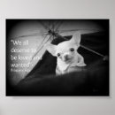 Search for chihuahua posters Pets