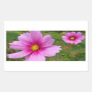 Search for cosmos flower stickers Nature