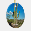Search for phoenix christmas tree decorations Tucson
