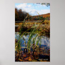Search for swamp posters Water