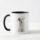 Search for old camera mugs Cute