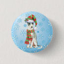 Search for italian stuff badges Iggy