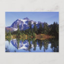 Search for baker postcards Forest