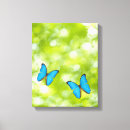 Search for flying canvas prints Animal