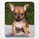 Search for adorable mouse mats Brown