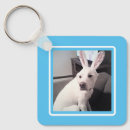 Search for blue bunny key rings Funny