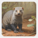 Search for mongoose stickers Animal