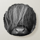 Search for scotland cushions Highlands