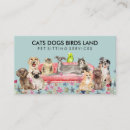 Search for sofa business cards Pet sitting