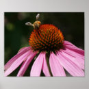 Search for 10x8 posters Flower