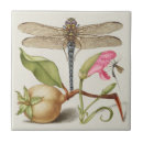 Search for insect tiles Nature