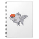 Search for oranda Aquarium