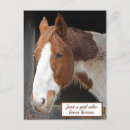 Search for love horses postcards Equestrian