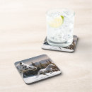 Search for appaloosas barware Running