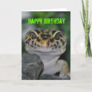 Search for leopard gecko cards Animal